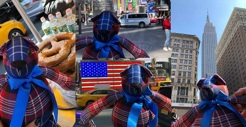 Tartan Ted USA - New York Tartan Ted USA - New York