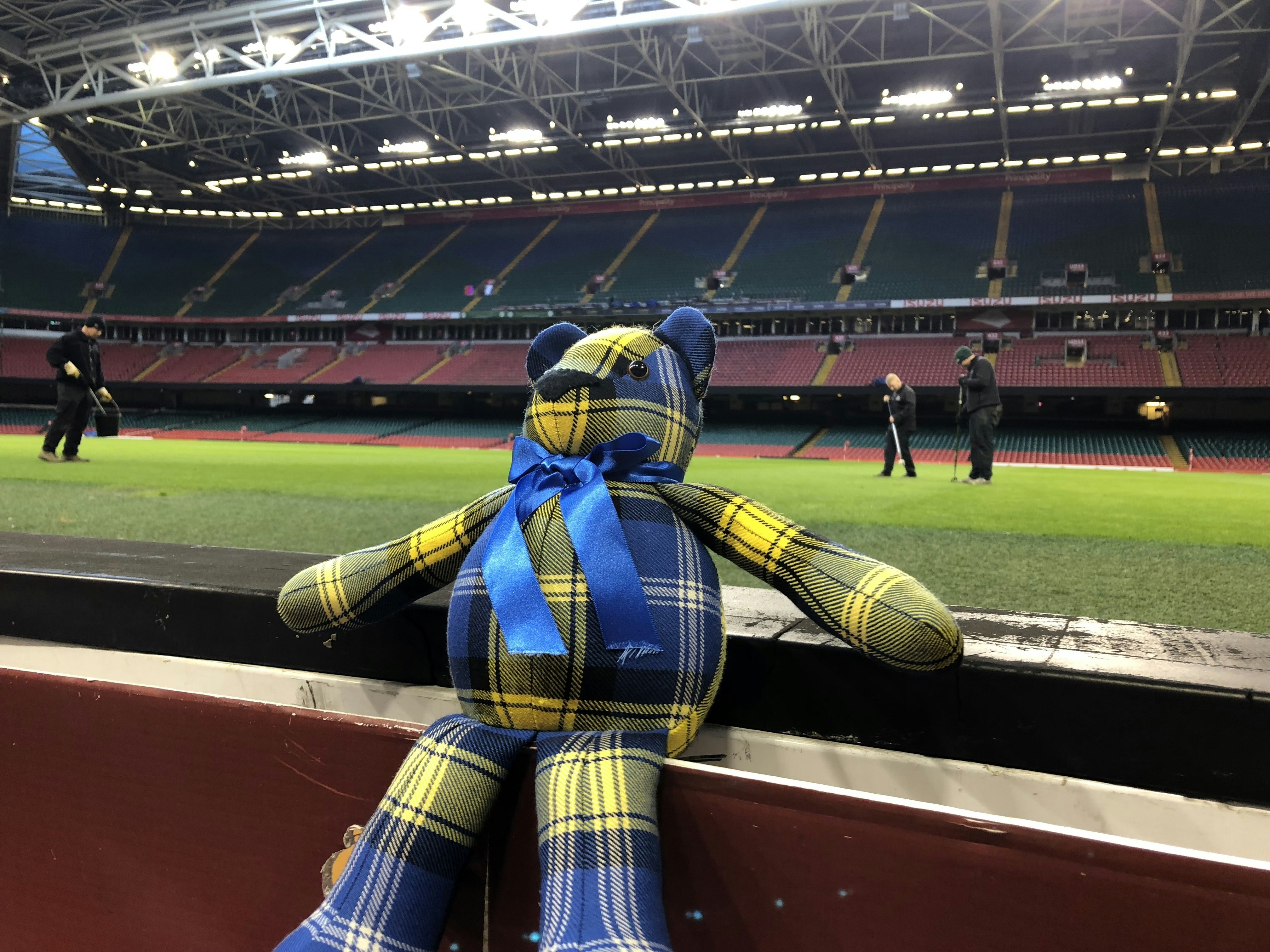 Doddie'5 Tartan Ted - Principality Stadium Doddie'5 Tartan Ted - Principality Stadium