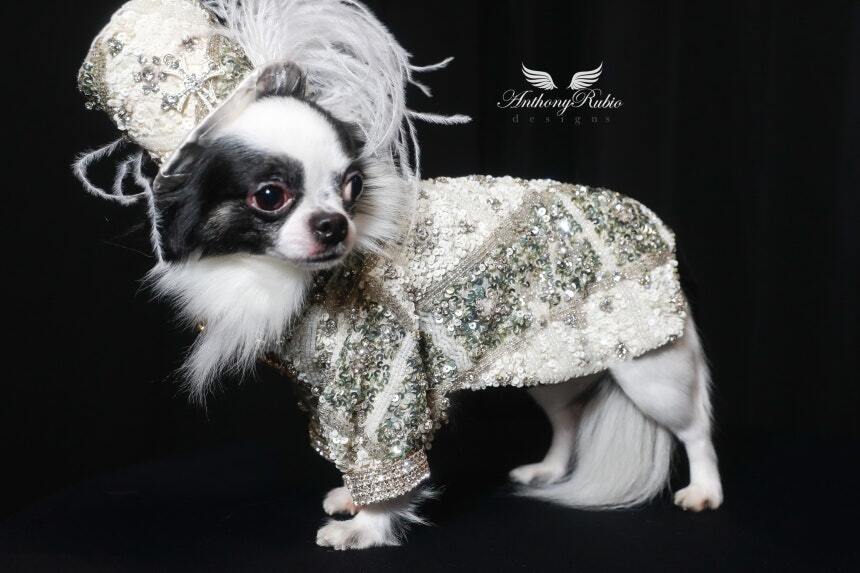 Anthony Rubio dog fashion Anthony Rubio dog fashion
