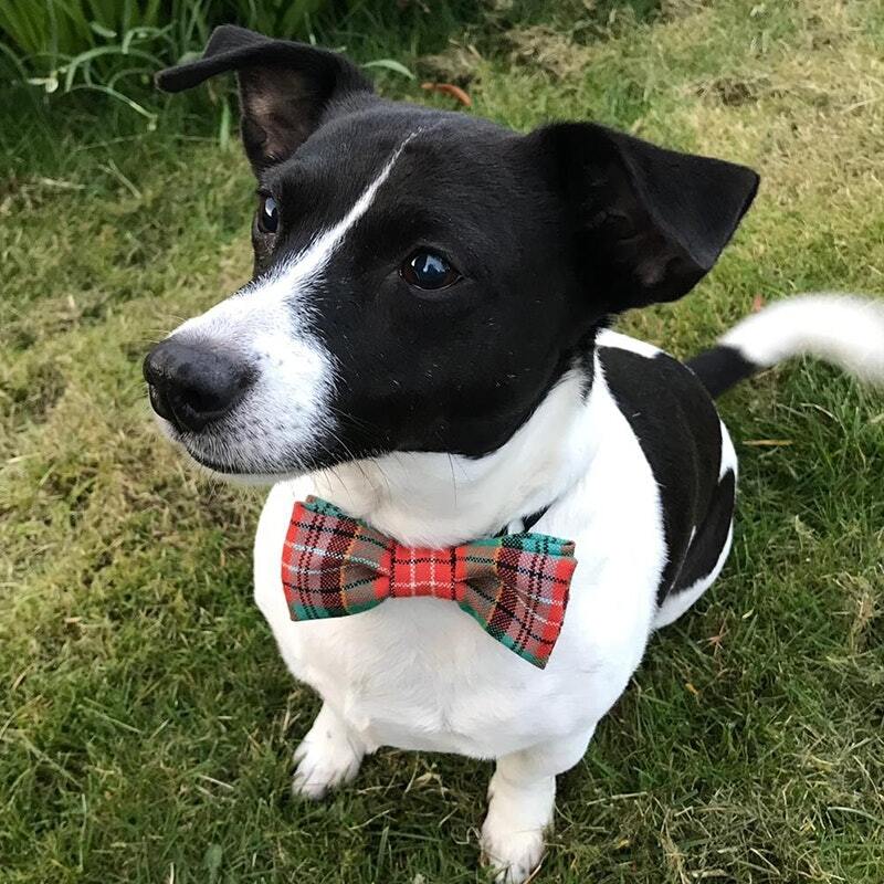 Tartan Dog Bow Tie