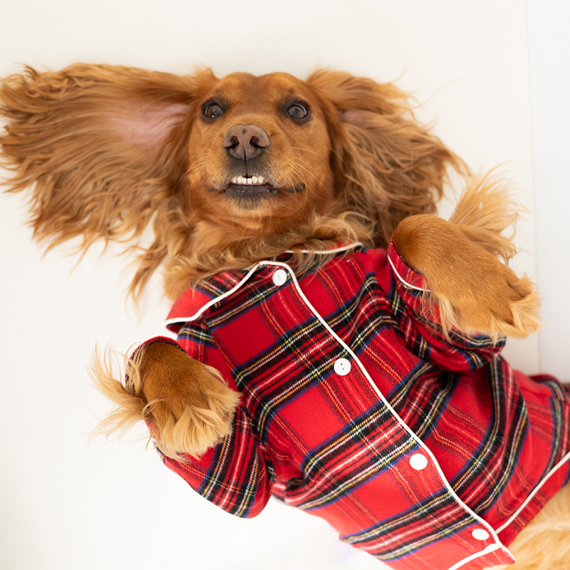 Plaid Dog Xmas Pyjamas Sodopo Christmas Pajamas Holiday Lounge